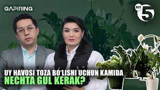 Uy havosi toza bo‘lishi uchun kamida nechta gul kerak? | "GAPIRING" TOK-SHOUSI