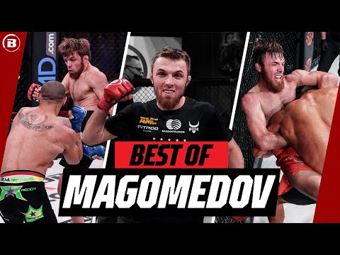 Don't Mess with The TIGER! 🐅 | Magomed Magomedov Highlights | Bellator MMA