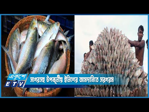 সাগরসহ উপকূলীয় ইলিশের আমদানিতে সরগরম | ETV News
