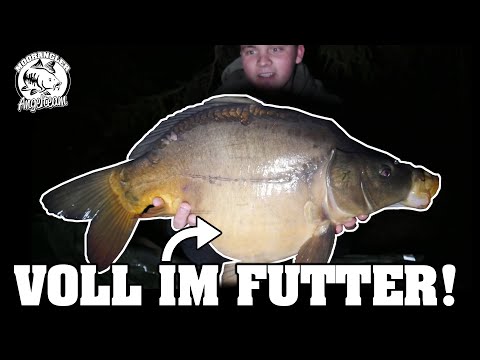 FANGRAUSCH am kleinen See - Futtertipps fürs Karpfenangeln im Frühjahr 2021