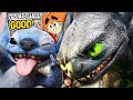 How To Train Your Dragon Succeeds Where Lilo Stitch Failed