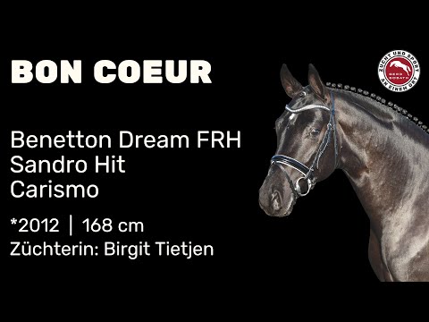 Bon Coeur *2012 von Benetton Dream FRH x Sandro Hit | Hengstschau Sosath 2025