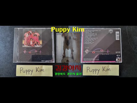 The Cool Notes - In Your Car