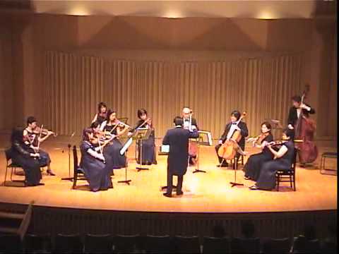 Stanley Grill: Meditation for String Orchestra