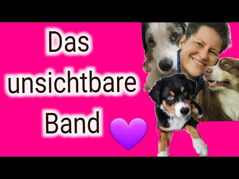 BINDUNG OHNE VERBINDUNG ‼️ Die unsichtbare Leine