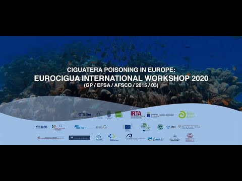 WORKSHOP EUROCIGUA 2020 English