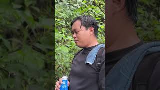 Download lagu pos mata air 2 gunung kembang #shortvideo #hiking #sahabatgunung #nature #gunungbohong mp3