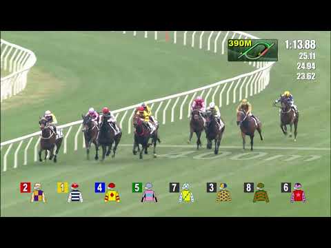 9/1/2022 (324) Beluga - Matthew Chadwick