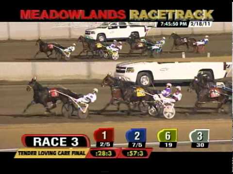 2011 Tender Loving Care Final - Some Girls Do & Brian Sears