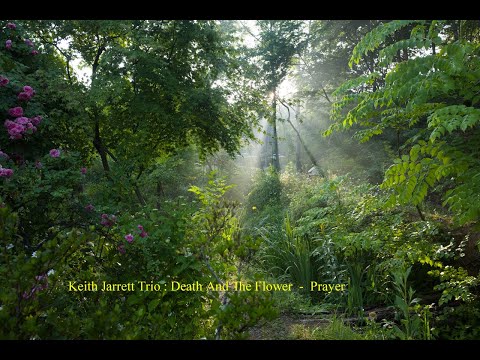 Keith Jarrett Trio : Death And The Flower  -  Prayer