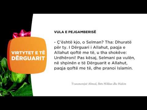 Vula e Pejgamerise 18