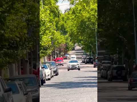 Me encanta la antigua arboleda clásica que tienen estas calles de #zarate #shorts #buenosaires #bsas