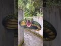 3d Illusion Paintings On Street’s And Walls || 3d Painting On Street’s That Blow Your Mind #shorts