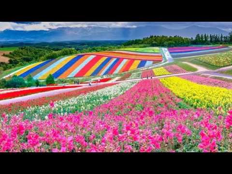 download lagu mp3 mp4 Beautiful Season, download lagu Beautiful Season gratis, unduh video klip Beautiful Season