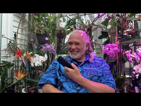 FRANK26…..2-11-26…..BANK STORIES