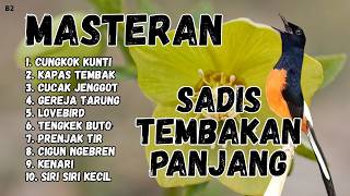 Download lagu 🔴 GACOR SADIS MENTAL KUAT MASTERAN MURAI BATU GACOR mp3 Download lagu 🔴 GACOR SADIS MENTAL KUAT MASTERAN MURAI BATU GACOR mp3