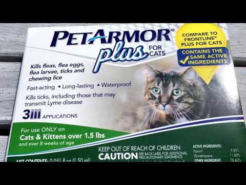 PET ARMOR PLUS FOR CATS REVIEW - Frontline Plus alternative - Tick & Flea Medicine
