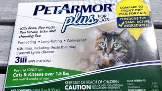 PET ARMOR PLUS FOR CATS REVIEW - Frontline Plus alternative 