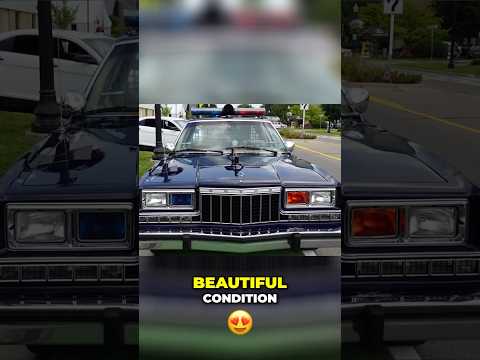 R-Body Police Cars (8) - Dad's Viral Dodge Diplomat Cop Car is Michigan Legend!