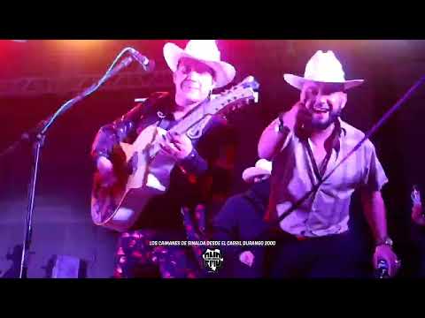 Chuy Lopez - Vamos A Hablar De Don Mayo ft  Los Caimanes De Sinaloa