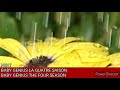 Upnext Baby Genius The Four Seasons