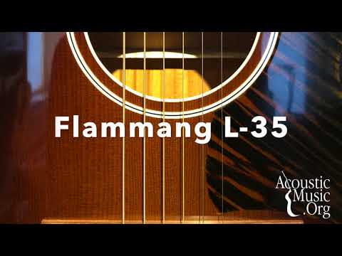 Flammang L-35 image 4