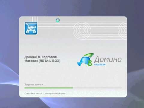 ДОМИНО 8. Торговля. Магазин - Курс оператора - Вход в программу