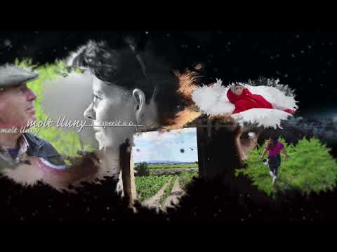 Temps al Temps Llum, Esperit i Paraula