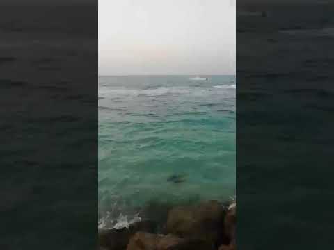 Umar Shoaib in Dubai Beach