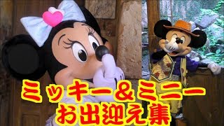 ミッキー＆ミニーお出迎え集！