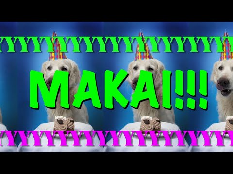 HAPPY BIRTHDAY MAKAI! - EPIC Happy Birthday Song