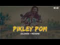 Pikley Pom Slowed Reverb Vishal Mishra Baby Riya Seepana Baby John Varun Dhawan SM Lofi