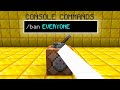 How I Accidentally Ended This Minecraft Server