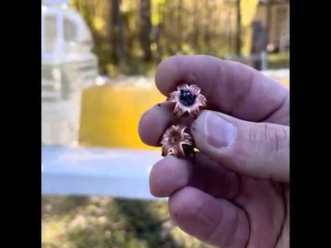 Why I Choose Underwood Ammo