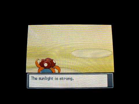 Pokémon Heart gold Gym leaders rematch Erika