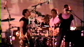 Poi dog Pondering ~ Rise Up And Walk