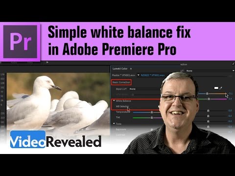 Breaking down the Lumetri Color panel Part 1 of 6