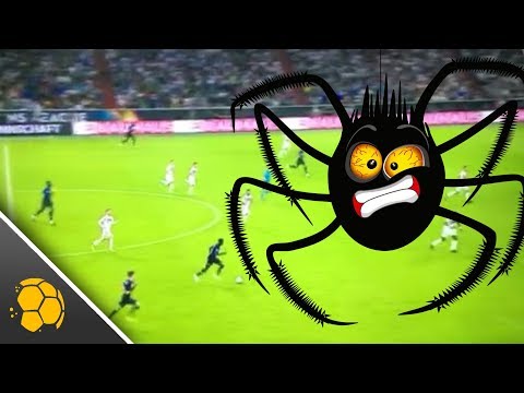 Tierischer Flitzer bei der Nations League