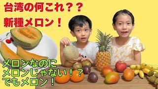 「台湾のこれなに？」#004 市場に出回らない激レア、台湾の新フルーツ！今までにないメロンの誕生！！「卡蜜拉哈密瓜・カミラメロン」は苗の時点で売り切れです！@tapiocachannel