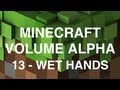 Minecraft Volume Alpha 13 Wet Hands