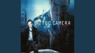 Let Your Love Decide