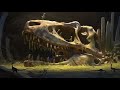 What Happened Immediately After the Dinosaurs Went Extinct? DEFAULT Thumbnail