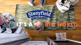 Stonyfield YoBaby It's a Big World