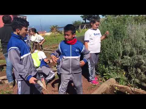 Aprendemos sobre la agricultura