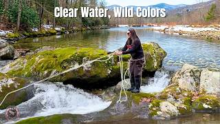 The MOST Beautiful Fish Lives Here | Brook Trout on the Fly