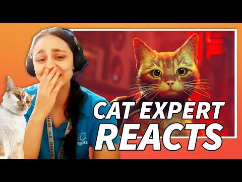 How Accurate Is 'Stray' To Real Cats? A Cat Behavior Expert Reacts To The Game