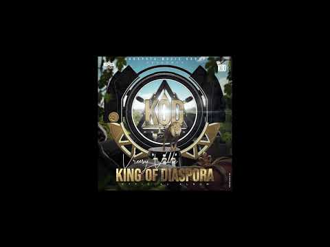 Vreezy Ville - Bailly (Official Audio) [King of Diaspora Album]