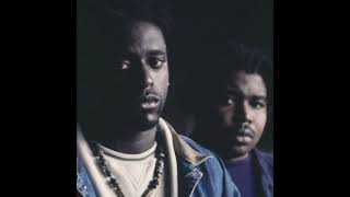 Organized Konfusion - Releasing Hypnotical Gases