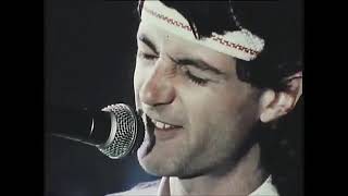 VAN DER GRAAF GENERATOR-   Cats Eye (1977 unreleased video, Uk)