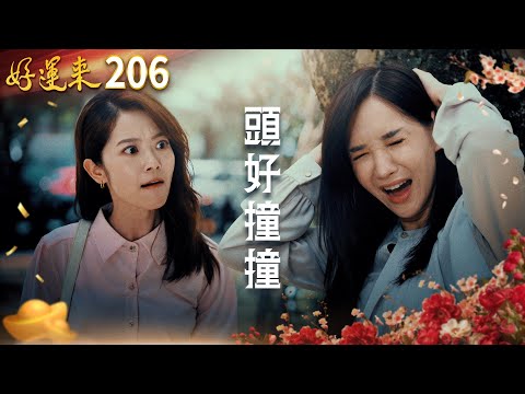 好運來 EP206 頭好撞撞｜Everybody Needs Good Luck